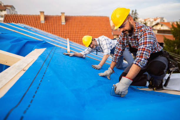 Best Roof Gutter Cleaning  in Flemington, GA